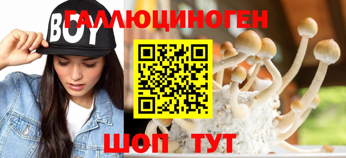 Псилоцибиновые грибы Psilocybine cubensis  Вход с VPN  Лангепас 